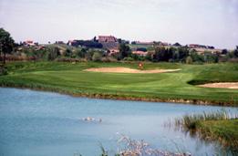 AGRODOLCE STAR CUP 092