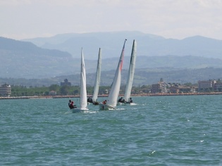 AGRODOLCE STAR CUP 057